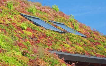 Upper Ardchronie living roof systems