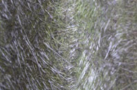 Upper Ardchronie fibreglass roof work